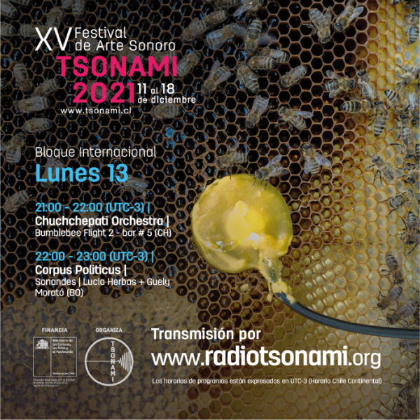 Bumblebee Flight II -  Takt #005, gespielt und aufgenommen  im Tropenhaus St. Gallen, wird im Rahmen des Festival Tsonami (Chile) am Radio zu hören sein.